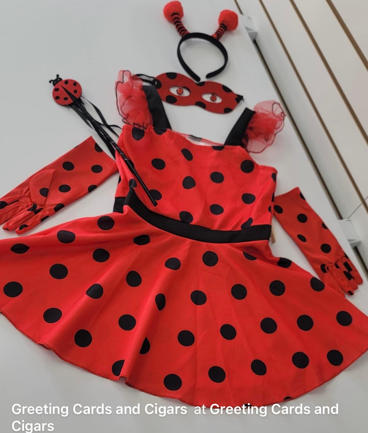 Costume ladybug for Halloween or every day play