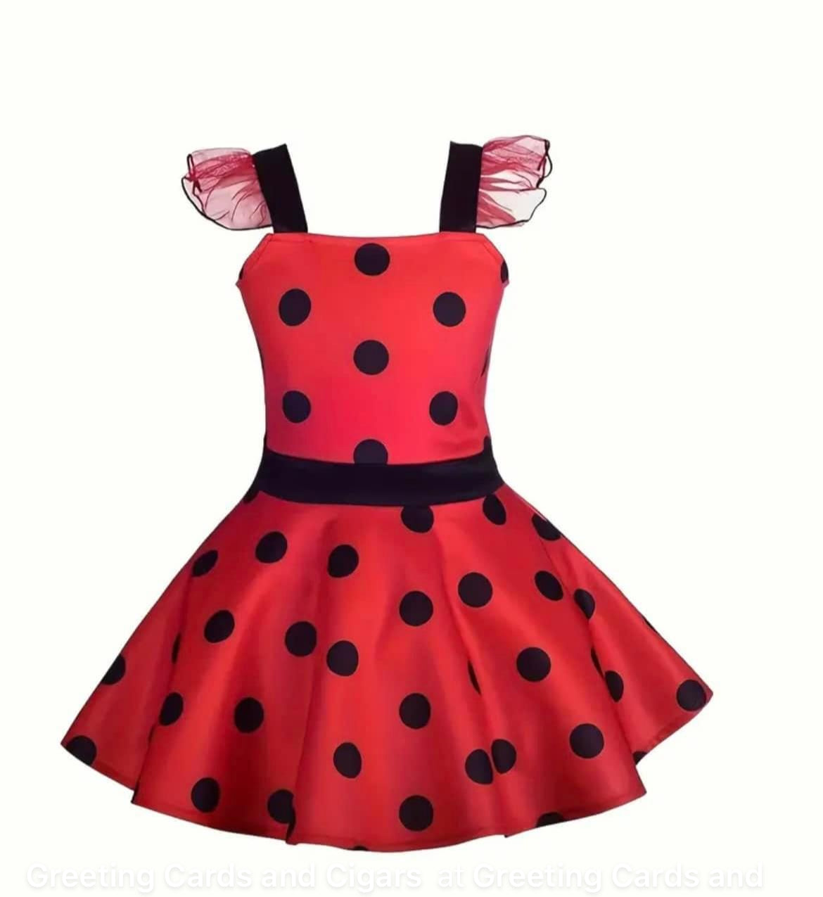 Costume ladybug for Halloween or every day play